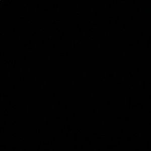 Meet your Posher, Reham